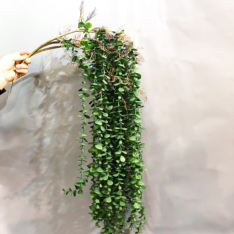 104cm Fałszywy eukaliptus Ratt – String Of Pearls Plant recenzja i cena