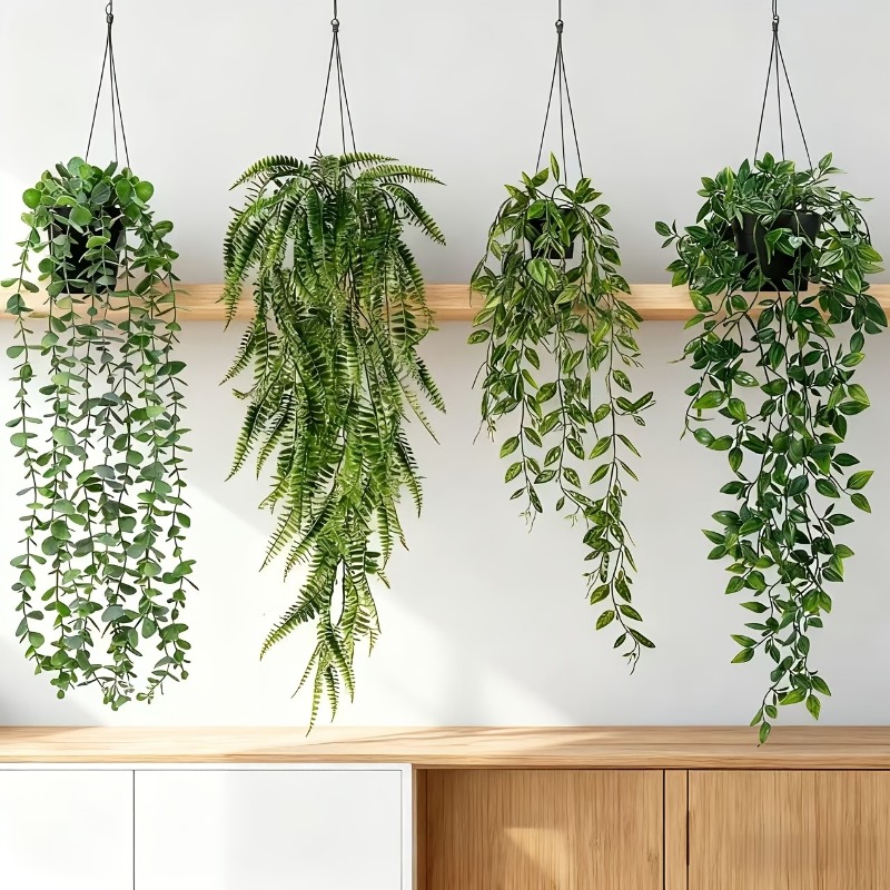Zestaw 4 szt. wiszących roślin – String Of Pearls Plant recenzja i cena