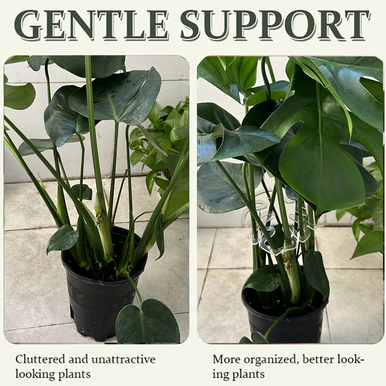 Elastyczne plastikowe klipsy d – Variegated Monstera Node recenzja i cena