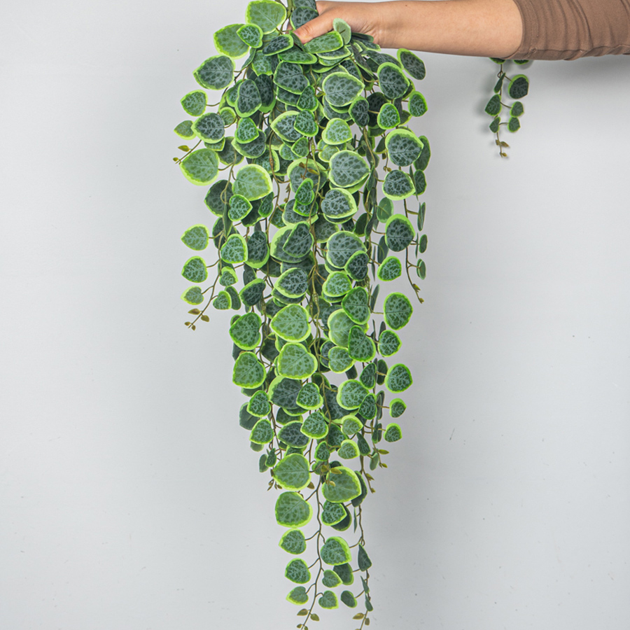 60-80cm Sztuczne wiszące winor – String Of Pearls Plant recenzja i cena