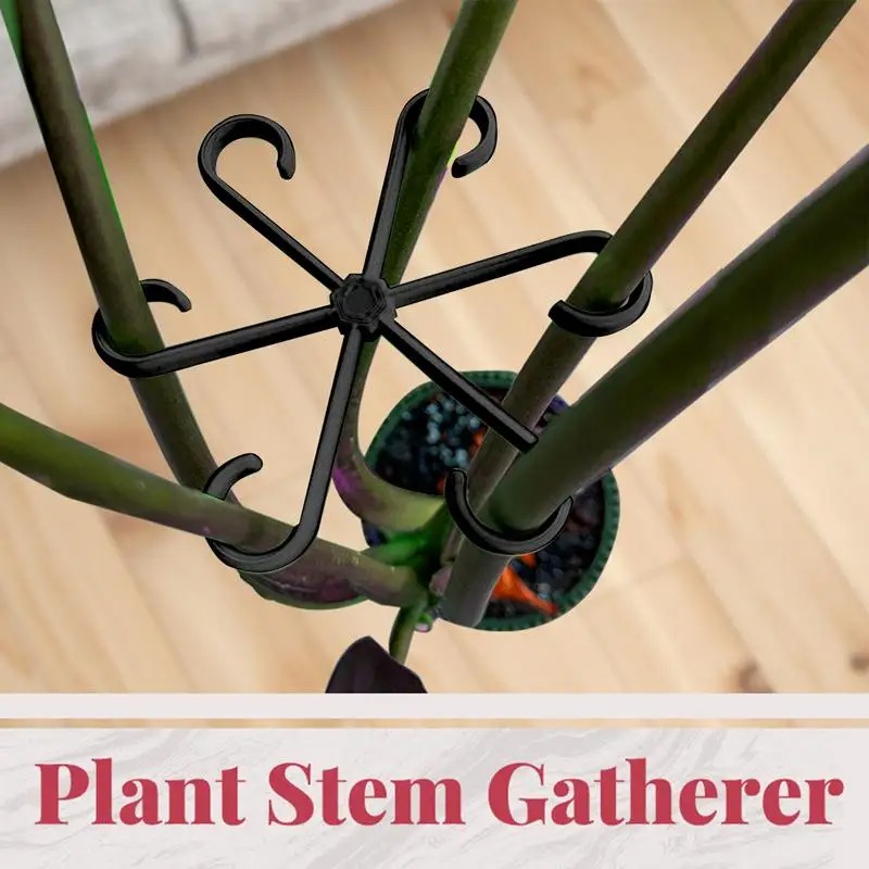 4 szt. Klipsów do podtrzymywan – Variegated Monstera Node recenzja i cena