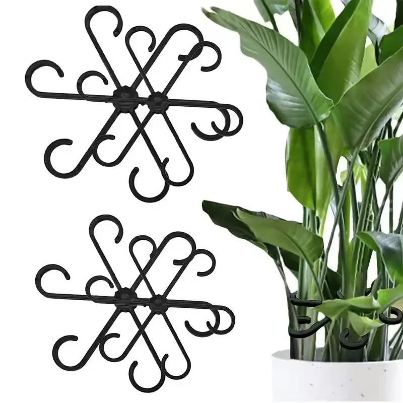 Podpórki do liści Alocasy i Mo – Variegated Monstera Node recenzja i cena