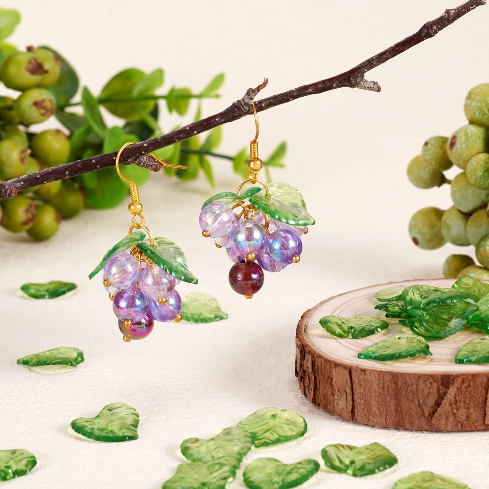 100 sztuk przezroczystych ziel – String Of Pearls Plant recenzja i cena