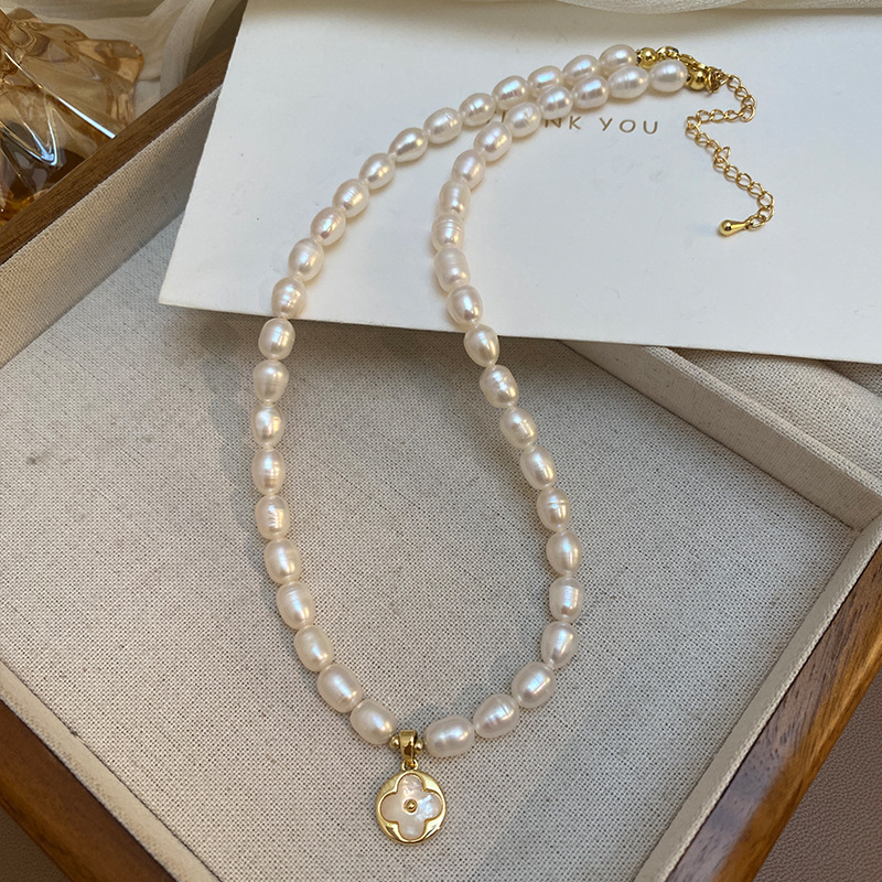 Nowość Modny Naszyjnik z Zawie – String Of Pearls Plant recenzja i cena